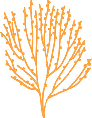 Deep Sea Coral Colored Cartoon Illustration © Good Studio