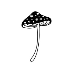 Magic mushrooms. Psychedelic hallucination. Outline vector illustration isolated on white. 60s hippie art. Coloring book for kids and adults.