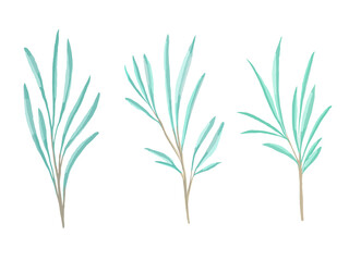 Vector set of watercolor sprigs of round-leaved green eucalyptus.
