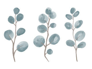 Vector A set of watercolor twigs of round-leaved silver eucalyptus.