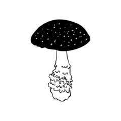 Magic mushrooms. Psychedelic hallucination. Outline vector illustration isolated on white. 60s hippie art. Coloring book for kids and adults.