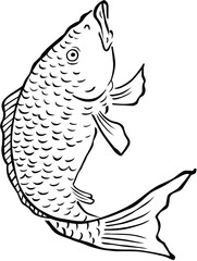 浮世絵　鯛　その1	