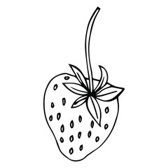 Strawberry Outline - Vector Black Line Fruit