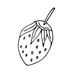 Vector monochrome illustration of strawberries logo. Many similarities to the author's profile