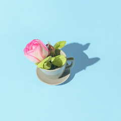 Creative composition made of cup of coffee or tea with pink rose flower bud on pastel blue background. Morning beverage concept. Minimal style