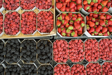 Blackberries, strawberries and raspberries in carton boxes on food farmers market.