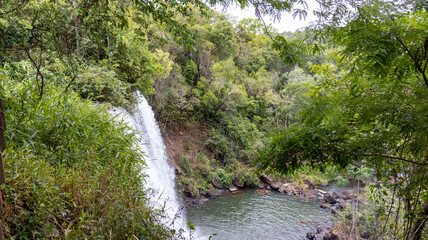 Cachoeira com queda d'água em meio as árvores. Beleza natural.