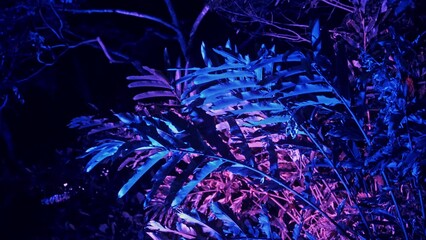 Neon colors on jungle leaves and tree during night time, handheld view