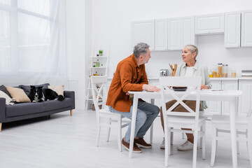 Obraz premium Smiling senior woman talking to husband near border collie lying on couch in kitchen.