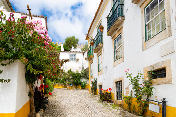 Beautiful Óbidos street in Portugal - obrazy, fototapety, plakaty