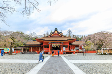 Naklejka premium 初春の富士山本宮浅間大社 静岡県富士宮市 Fujisan Hongu Sengen Taisha Shrine in early spring.Sizuoka-ken Fujinomiya city.
