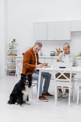 Man looking at border collie near breakfast and wife in kitchen.