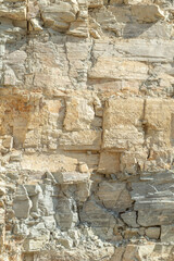 Fototapeta premium Silurian limestone cut of a rock at a quarry.