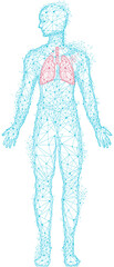 Polygonal human body with red lungs. Treatment of diseases, bronchitis, pneumonia diagnostics. Medical research of internal organ, innovative approach concept. Organ of human respiratory system