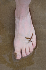 Schöner Fuss am Strand