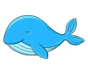 Door stickers Whale Cute whale. Vector illustration of a series of marine animals. A picture for children's educational books, for a print on a T-shirt or your design.