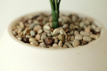 Decorative stones in flower vase
