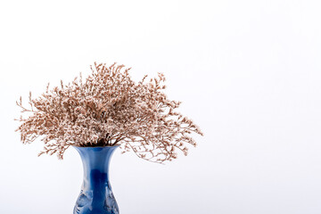 vase with dried flowers on a white background. minimalist decor