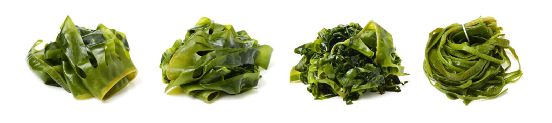 seaweed on a white background