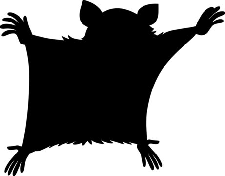 recommend clip art: Sugar Glider Silhouettes Sugar Glider SVG EPS PNG