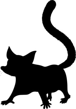 recommend clip art: Sugar Glider Silhouettes Sugar Glider SVG EPS PNG