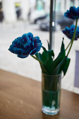 blue tulips in tall glass on cafe table