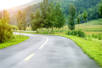 Asphalt road through green field in summer day