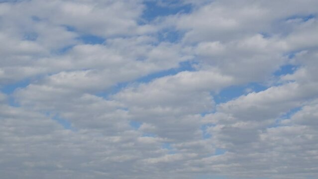 Layer of altocumulus stratiformis clouds moving across sky in fast forward, time lapse of clouds in atmosphere