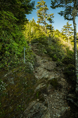 Fototapeta na wymiar Rocky Trail and Asistance Wires Along Boulevard Trail to Mt LeConte In Great Smoky Mountains