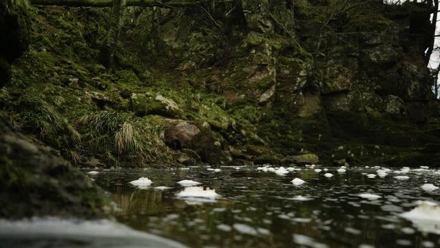 Bubbles of foam float on the surface of dark water in the North Esk river in Scotland, slowly swirling towards the camera and into a shallow plane of focus with a moss covered cliff in the background.