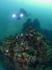 microbialites underwater lake looks like city with towers scuba divers to see