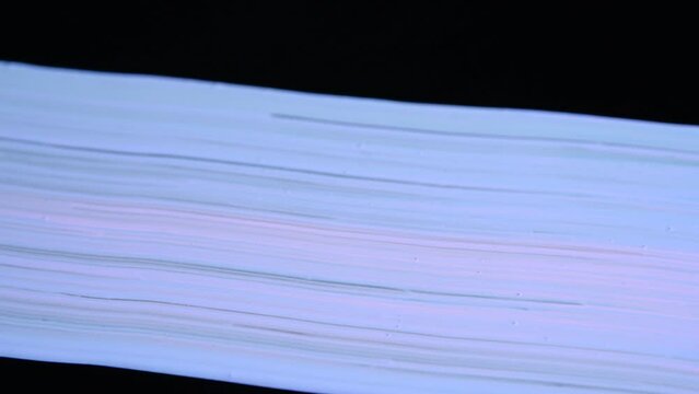 Brush painting blue on black background. High quality 4k footage