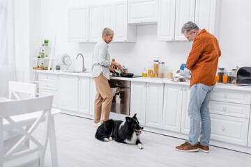 Side view of man pouring dog food in bowl near border collie and wife cooking in kitchen.