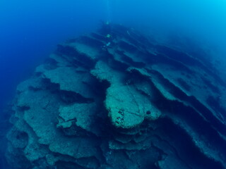 scuba divers around a reef underwater deep blue water big rock 