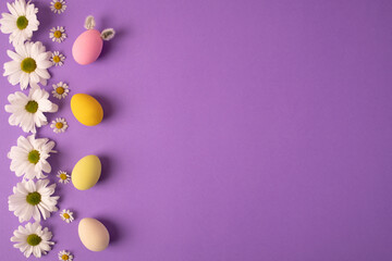 Beautiful composition for serving the Easter table. Row of pastel colored eggs, pink, blue and yellow, white chamomile flower, chrysanthemum on purple background. Happy Easter greeting card. Top view