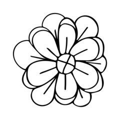 Blooming daisy flower bud line art. Doodle natural plant. Garden abstract flowers. Hand drawn vector outline illustration. Black and white graphics.