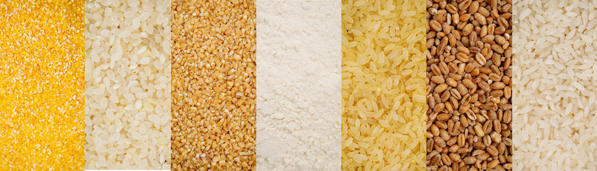 Set of different groats  in one panorama. High quality photo. Barley, pea, buckwheat, rice, flour, oatmeal, corn/wheat groat, pearl barley, millet polished, semolina.