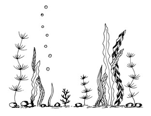 Simple vector ink sketch. Seabed, algae, corals and pebbles, underwater world. Nature, ocean. Black outline drawing. © MaxNadya