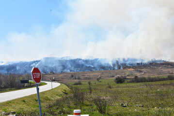 Big forest fire in rural part of the country