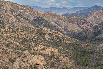 Spring landscape of the Chiricahua National Monument, Arizona, USA