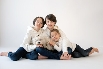 Cute stylish toddler child, older brothers and maltese dog, boys with white shirts on white background, family kids portrait