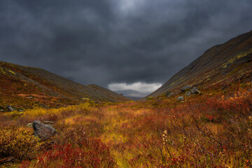 Stormy sky and fog in mountains. Red and yellow autumn northern meadow. Autumn in tundra. Lapland. 