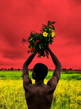 Back view of young African man holding yellow flowers standing on green grass field
