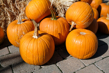 Orange pumpkins on gray concrete floor