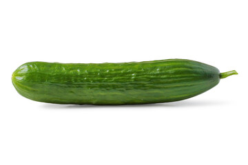 Fresh cucumber