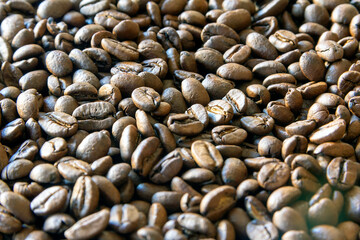 Brown roasted coffee beans on the table