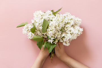 Woman's hand holding white flowers lilac on pink background. Top view flat lay.
