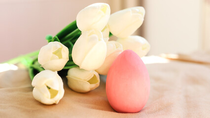 An Easter egg of pink color against a background of white tulips close-up. The concept of holidays and Easter