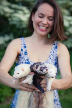 Smiling woman holding three ferrets