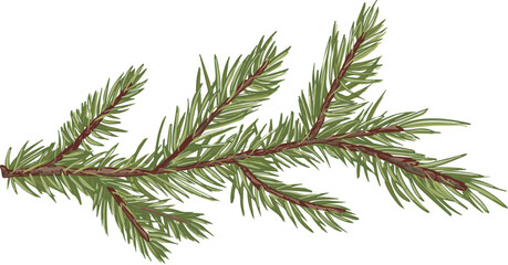 Spruce Branch Hand Drawn Illustration © Good Studio